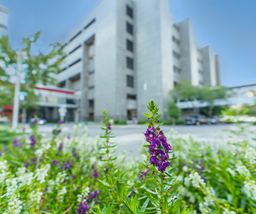 Flowers blooming in front of a medical building. Links to Gifts of Life Insurance Flowers blooming in front of a medical building. Links to Gifts of Life Insurance